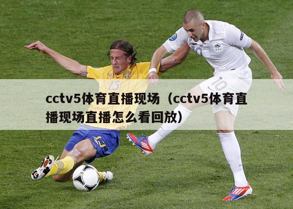 cctv5体育直播现场（cctv5体育直播现场直播怎么看回放）