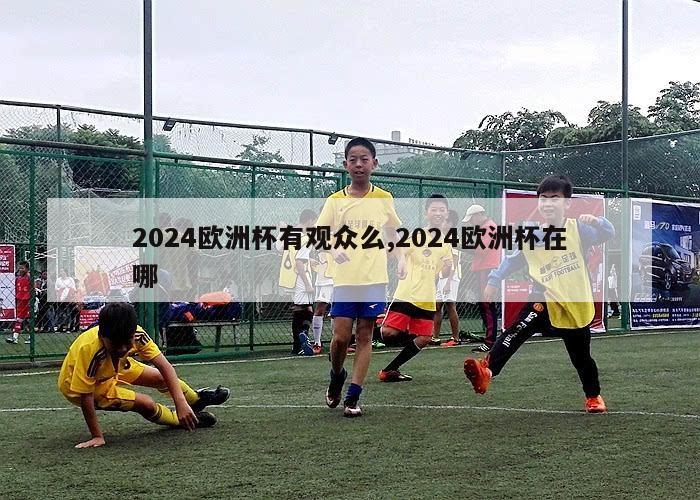 2024欧洲杯有观众么,2024欧洲杯在哪