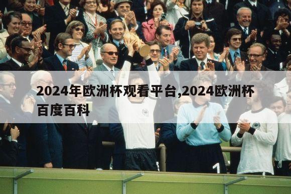 2024年欧洲杯观看平台,2024欧洲杯百度百科