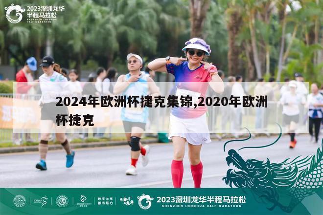 2024年欧洲杯捷克集锦,2020年欧洲杯捷克