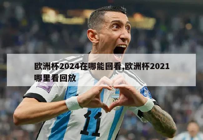 欧洲杯2024在哪能回看,欧洲杯2021哪里看回放