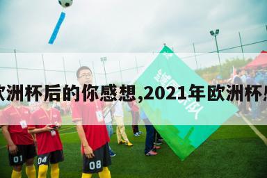 看欧洲杯后的你感想,2021年欧洲杯感悟