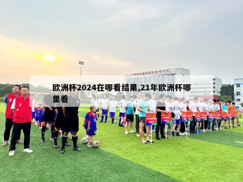 欧洲杯2024在哪看结果,21年欧洲杯哪里看