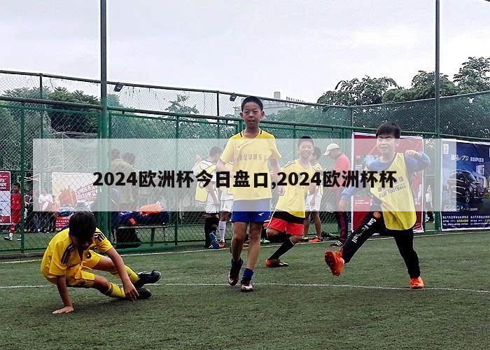 2024欧洲杯今日盘口,2024欧洲杯杯