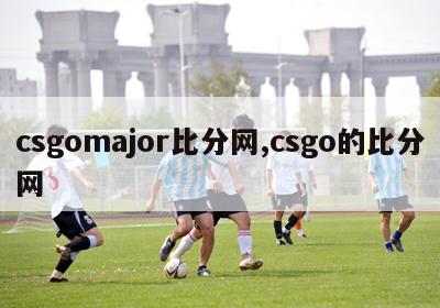 csgomajor比分网,csgo的比分网