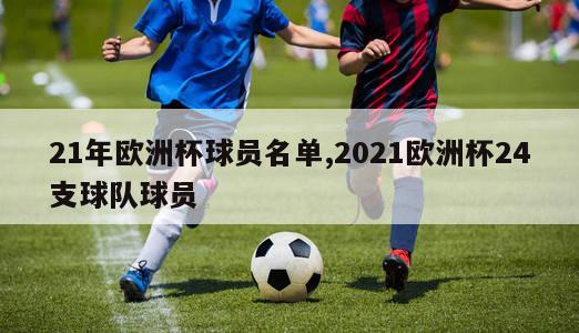 21年欧洲杯球员名单,2021欧洲杯24支球队球员